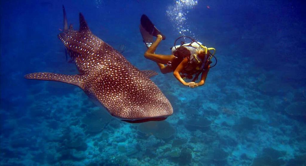 Batuta Maldives Surf View Hotel Thulusdhoo Ngoại thất bức ảnh